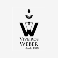 Weber Viveiros